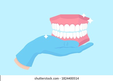 Vector cartoon hand of a dentist in a blue glove that hold a demo anatomical model of human jaw and teeth. Dental concept.