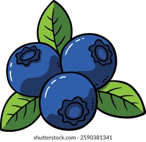Vector Cartoon Hand Drawn Blueberries