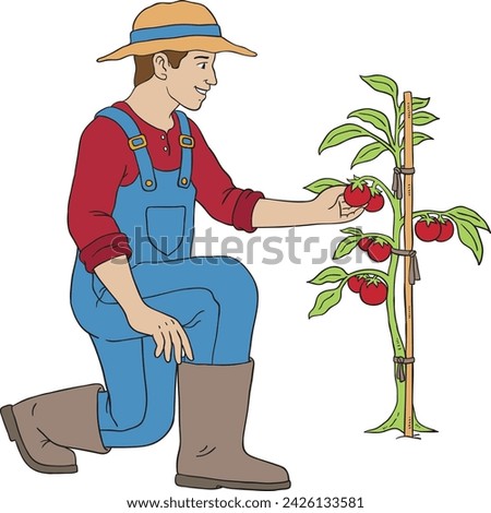 Vector Cartoon Hand Drawn Farmer Picking Tomato Fruit