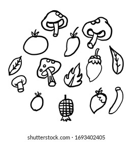 Vector Cartoon hand drawn set of mushroom,leaf, nut, banana, pineapple,Orange,mango