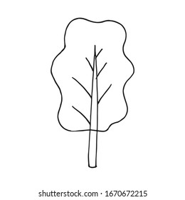 Vector cartoon hand drawn sketch tree design element. Doodle illustration on white background