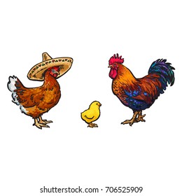 vector cartoon hand drawn sketch chicken set. Brown blue colored rooster, cock, brown chicken in sombrero and small yellow chick. Isolated illustration on a white background. Farm poultry chicken