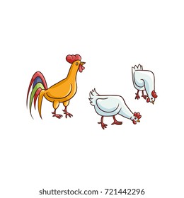vector cartoon hand drawn sketch brown colored rooster, white chickens set. Isolated illustration on a white background. Farm poultry chicken