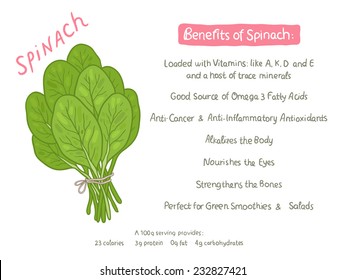 Vector Cartoon Hand Drawn Spinach Health Benefits Illustration