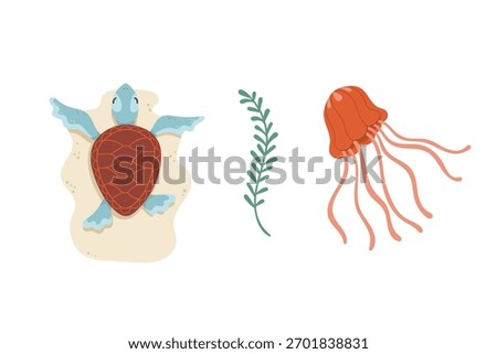 Vector  cartoon hand-drawn illustrations of a turtle, jellyfish, and seaweed. Sketches of sea details.
