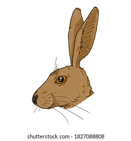Vector Cartoon Hare Head. Side View.