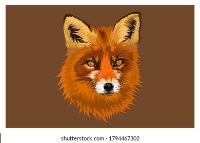 Profile picture fox Megan Fox