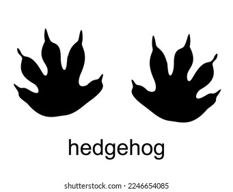 Vector cartoon hedgehog footprint, raccoon track. Hedgehog steps. Ink, silhouette vector illustration isolated on white background. For posters, greeting cards, book cover, flyers, banner, game design