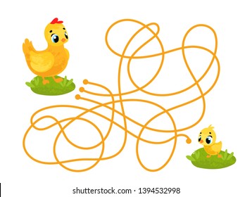 Vector cartoon hen and chick in children`s style. Vector illustration for children's books. Labyrinth. Educational game for children.
