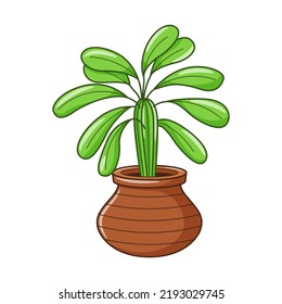 Vector cartoon house plant in pot. Indoor home plant with leaves. Cacti for home and interior. Colorful botanical doodle illustration isolated on white background.