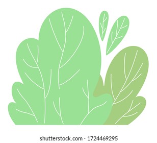 Vector cartoon icon isolated at white background. Green bush icon. Illustration of green plant. Decoration for park or garden. Nature concept. Flat style icon or logo for using at websites or apps