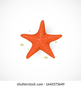 Vector cartoon icon of red Starfish isolated on white background. Marine Sea Star illustration in flat style for summer design, print, vacation concept. Marine invertebrates. 