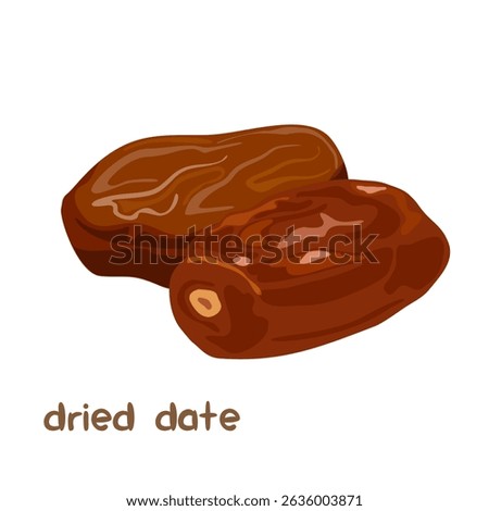 Vector cartoon illustraion of dried date fruit with lettering isolated on white background.	