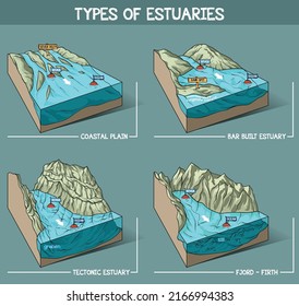 Dibujo vectorial de tierra 3D con tipos de estuarios. Diseño infográfico. Llanura costera, barra construida estuario, estuario tectónico, fiordo.