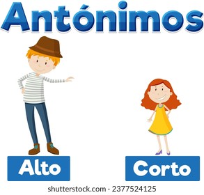 A vector cartoon illustration of antonyms in Spanish language means tall and short