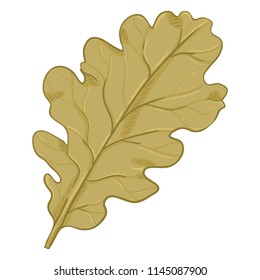 Vector Cartoon Illustration - Autumn Fallen Brown Leaf of Oak Tree