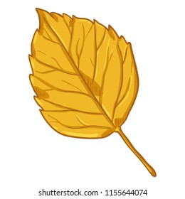 Vector Cartoon Illustration - Autumn Fallen Yellow Leaf of Birch
