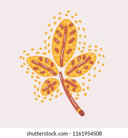 Vector cartoon illustration of Autumn yellow chestnut tree fallen leaf isolated. Hand drawn concept in modern style.