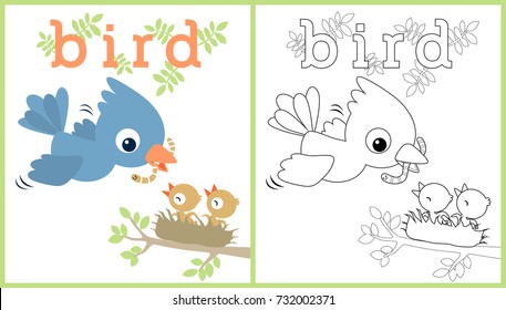 vector cartoon illustration of a bird feeding its cub with worm on nest, coloring book or page
