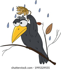 Dibujo vectorial de cuervos negros resguardados de la lluvia