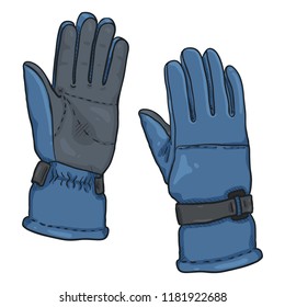 Vector Cartoon illustration - Blue Gloves for Ski
