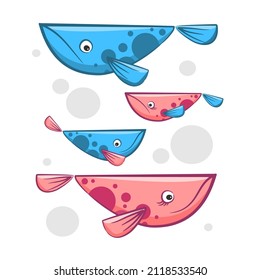 vector cartoon illustration of blue and pink whale