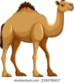 A vector cartoon illustration of a camel walking in isolation on a white background