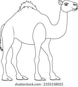 A vector cartoon illustration of a camel walking, isolated on a white background