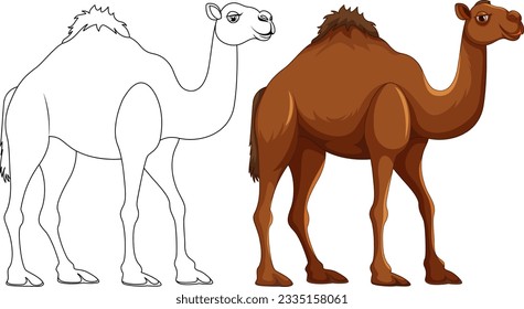 A vector cartoon illustration of a camel walking with its outline for coloring