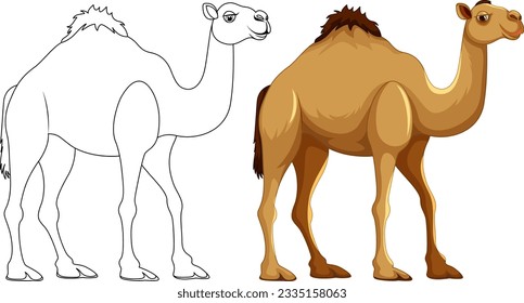 A vector cartoon illustration of a camel walking with an outline for coloring