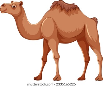 A vector cartoon illustration of a camel walking, isolated on a white background