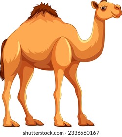 A vector cartoon illustration of a camel walking, isolated on a white background