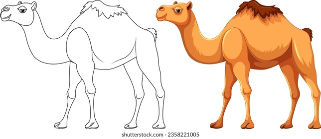 Dibujo vectorial de un camello caminando con su contorno para colorear