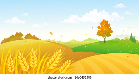 Vector cartoon illustration of a colorful fall farm scene with wheat fields and blue sky background