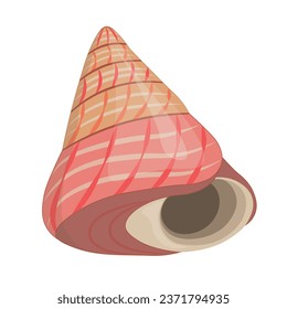 Vector cartoon illustration of colorful seashells on a white background.