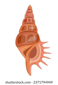 Vector cartoon illustration of colorful seashells on a white background.