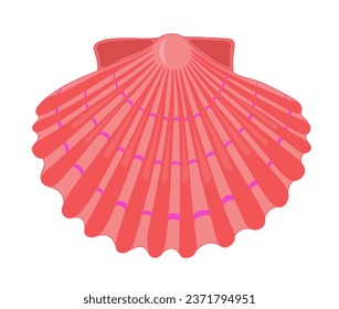 Vector cartoon illustration of colorful seashells on a white background.