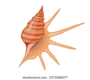 Vector cartoon illustration of colorful seashells on a white background.