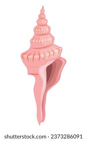 Vector cartoon illustration of colorful seashells on a white background.