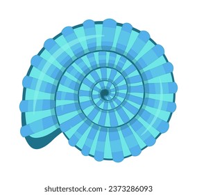 Vector cartoon illustration of colorful seashells on a white background.