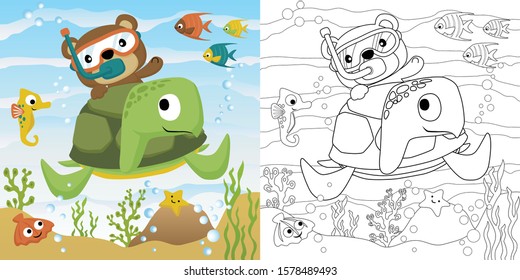 Vector cartoon illustration, coloring book of bear riding on turtles back, marine animals undersea