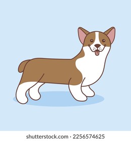 Vector cartoon illustration of a corgi dog. The dog stands with his tongue sticking out, isolated on a blue background. Pets, animals, dog-themed design element in a simple flat style