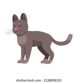Vector cartoon illustration of cute cat