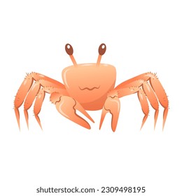 Vector cartoon illustration of a cute  crab raising its claws isolated on a white background.