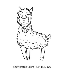 Vector cartoon illustration with cute fluffy llama with decorative elements isolated on background
