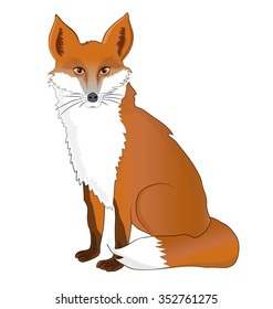 Vector cartoon illustration of a cute fox
