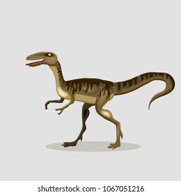 Vector cartoon  illustration of a dinosaur.  Velociraptor.
