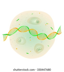 Vector cartoon illustration of a DNA and cells