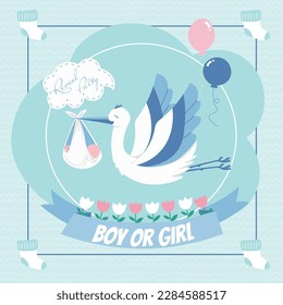 Vector cartoon illustration in flat style, holiday card. Baby showergender, 
Reveal party,
Gender reveal partym.