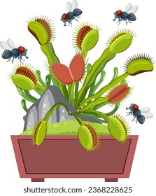 Vector cartoon illustration of flies hovering above a Venus flytrap